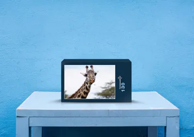 Produktbild von hansepuzzle 78781 - Giraffe Puzzle, 130 Teile, Natur, 28,7 x 20,0cm mit hochwertiger Aufbewahrung, Kartonbox und wiederverschließbarem Beutel