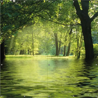 Produktbild von Wallario Outdoor-Poster für Garten oder Balkon, Motiv Idyllischer See im Wald bei Sonnenschein, in ca. 180 x 180 cm