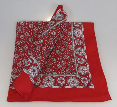 Produktbild von Vierecktuch 70x70cm Paisley rot Halstuch Bandana Baumwolle
