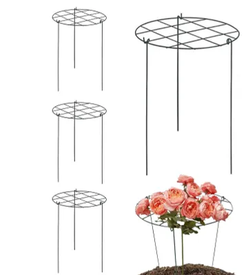 Produktbild von Robuste Pflanzenstützen für Gartenpflanzen