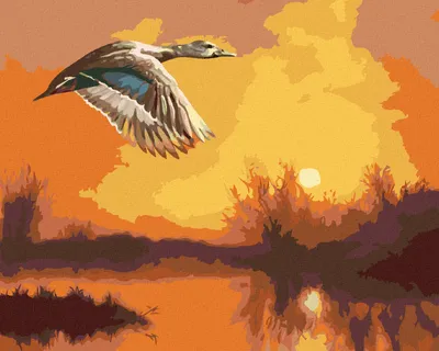 Produktbild von Zuty - Malen nach Zahlen - FLIEGENDE ENTE UND SONNENUNTERGANG (D. RUSTY RUST), 40x50 cm, ohne Keilrahmen