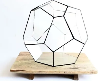 Produktbild von Geometrisches Terrarium - Cosmo - Vivarium - ↑ 31 x 29 x 29 cm (LxBxH) - Glas