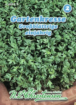 Artikelbild 1 von 'Gartenkresse Großblättrige' aus der Kategorie Kressesamen