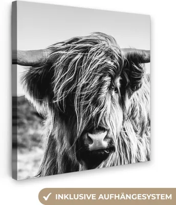 Zdjęcie produktu dla MuchoWow® - Obraz na płótnie - Krowa - Szkocki góral - Czarny - Biały - Zwierzę - Natura - Dzika przyroda, fototapeta, dekoracja ścienna obrazy salon, 90x90cm