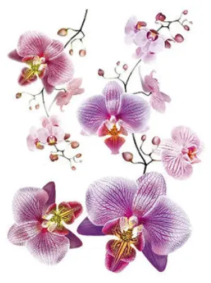 Zdjęcie produktu dla Naklejka Disney 65X85Cm./1 Część Orchidei