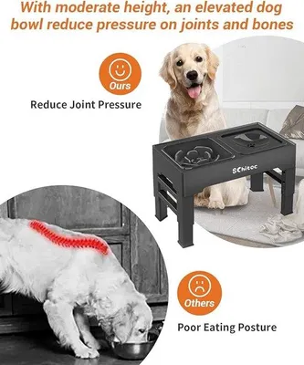 Produktbild von Famanu Futterstation für Hunde und Katzen - Höhenverstellbar und Rutschfest