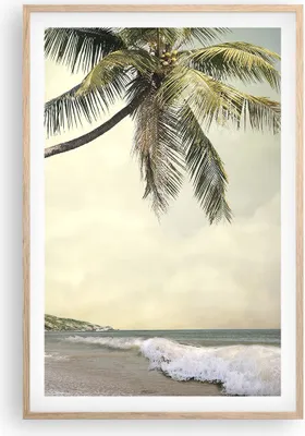 Produktbild von Gerahmtes Poster - Rahmen in heller Eiche - Palme Strand Insel - 61x91,5 cm - Wand Bild - Wanddeko - Wandbilder - Wandposter - Bilderrahmen - Bilder - Kunstdruck - Wandbild - P2NPA61x91-4154