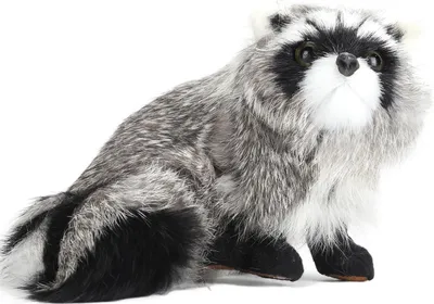 Image de Jouet peluche raton laveur Animaux en peluche faits à la main, mignons et doux Décoration d'intérieur