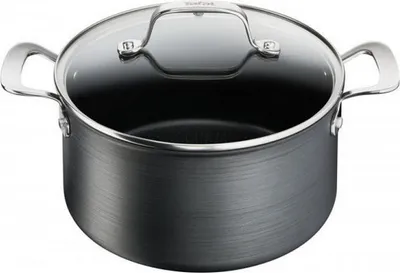 Image de Faitout 24 Cm + Couvercle - Unlimited Premium - Tefal