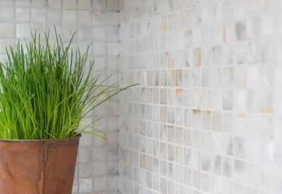 Produktbild von Mosani MOS150-SM2525_m, Mosaik, Drinnen, Rechteck