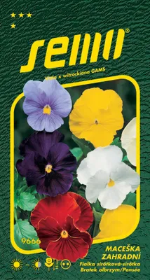 Produktbild von Gartenstiefmütterchen-Samenmischung ohne Auge 0,3g