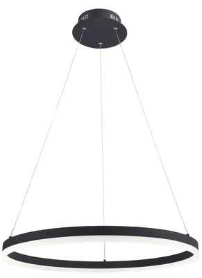Image de Lampe LED suspendue Ø 60cm TITUS 2382-13 Paul Neuhaus Rond