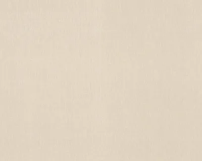 A plain, textured background.