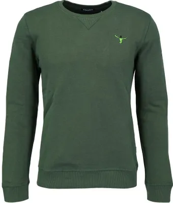 Produktbild von Chiemsee Herren Sweatshirt mit Backprint 2061107