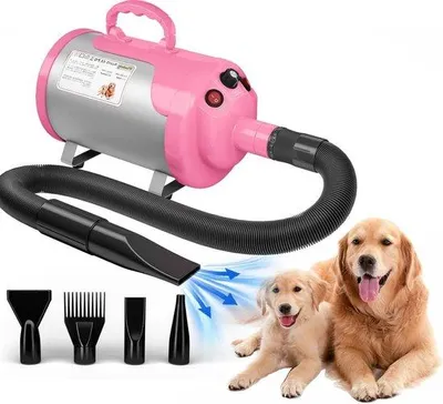 Immagine prodotto di Asciugatore domestico silenzioso - Motore da 52 pk / 3800 W - Velocità regolabile - Asciugatura domestica - Asciugatore - 4 ugelli diversi - Tubo flessibile.