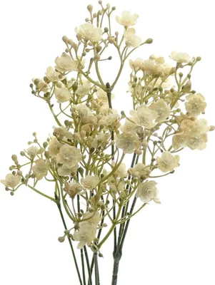Produktbild von Schleierkraut Lachsfarben 53 cm - Kunstblumen