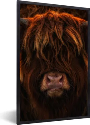 Produktbild von MuchoWow® Gerahmtes Poster Schottischer Highlander - Kuh - Porträt - Tiere 40x60 cm - Poster mit Schwarzem Bilderrahmen Wandposter Rahmen Foto Bilder - Papierdruck - Wandbilder