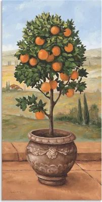 Produktbild von ARTland Wandbild Alu für Innen & Outdoor Orangenbaum Größe: 75x150 cm