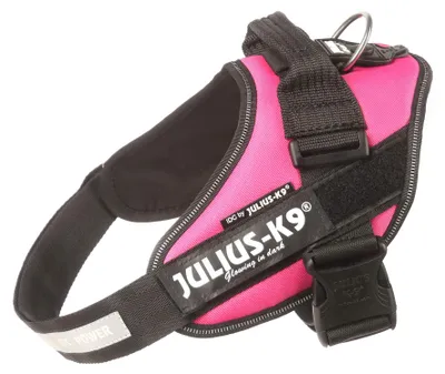 Produktbild von Julius-K9, IDC Powergeschirr, Größe: M / 0, Dunkelpink