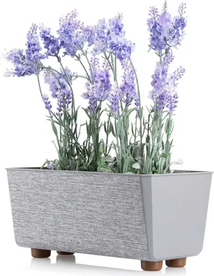 Zdjęcie produktu dla HowHomely | Doniczka Salvia Texelle, szara - 28,5 x 17 cm - Doniczki, stylowe, kompaktowe, trwałe
