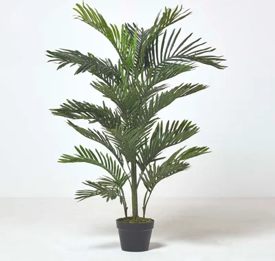 Produktbild von HOMESCAPES Kunstpalme im Topf, 180 cm hoch