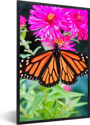Produktbild von MuchoWow® Gerahmtes Poster Schmetterling - Botanisch - Blume 60x90 cm - Poster mit Schwarzem Bilderrahmen Wandposter Rahmen Foto Bilder - Kunst