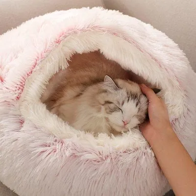 Produktbild von Tierkissen für Hunde und Katzen