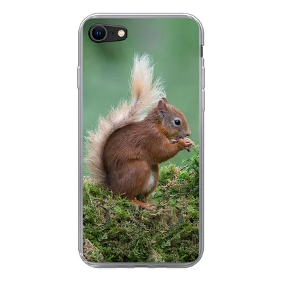 Produktbild von MuchoWow® Handyhülle Schutzhülle Hülle für iPhone 7 Eichhörnchen - Wald - Moos Silikon Softcase Handy Hülle - Kartenhalter