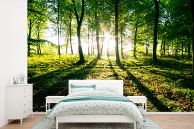 Produktbild von MuchoWow® Fototapete für Wohnzimmer oder Schlafzimmer Wandtapete Vinyl Motivtapete Die Sonne bricht durch die Wälder des Nationalparks Söderåsen in Schweden - 450x300 cm - Gemusterte