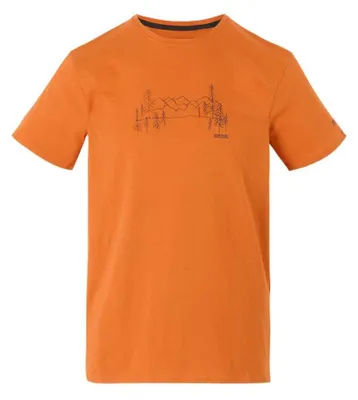 Image de REGATTA RMT316, T-shirt pour homme, modèle BREEZED V, couleur orange, taille S