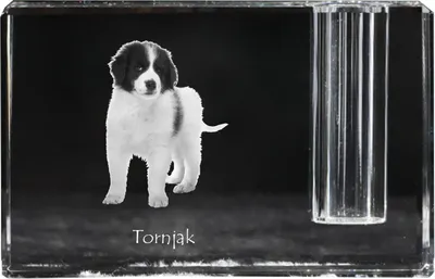 Produktbild von Tornjak, Bosnisch-herzegowinischer - kroatischer Schäferhund - Stifthalter, Kristallorganizer mit Hundefoto, einzigartige Schreibtischdekoration der Marke Art-Dog