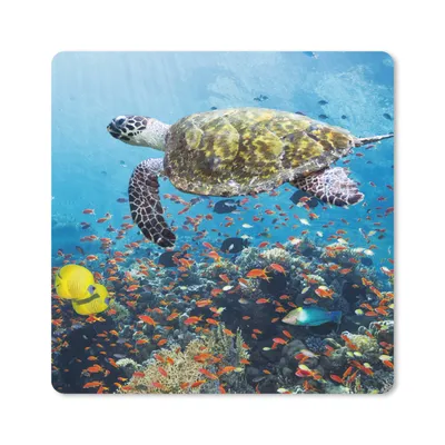 Produktbild von MuchoWow® Mauspad Mousepad Schildkröte am Korallenriff 20x20 cm - Mousepads - Maus Mat - Pad - Mausunterlage - Desk Mat - Bureauartikeln