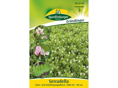 Produktbild von SERRADELLA (Gründünger)