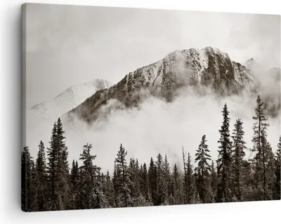 Produktbild von Bild auf Leinwand - Leinwandbild - Einteilig - Nebel Berg Wald - 70x50cm - Wand Bild - Wanddeko - Wandbilder - Leinwanddruck - Bilder - Wanddekoration - Leinwand bilder - Wandbild - AA70x50-4936