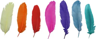 Produktbild von Indianerfedern bunt 13-15 cm 4 g 15 Stück