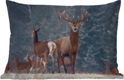 Produktbild von MuchoWow® Outdoor Kissen - Waldtiere - Hirsche - Landschaft - Winter - Schnee - Natur - 60x40 cm - Wetterfest - Lounge Kissen - Zierkissen - Kissen für Innenräume