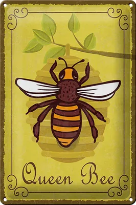 Produktbild von Blechschild Hinweis 20x30cm Queen Bee Biene Honig Imkerei