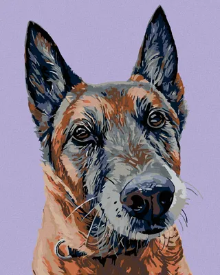 Obrázek produktu pro Zuty - Malování podle čísel - STARÝ VLČÁK, 40x50 cm, vypnuté plátno na rám