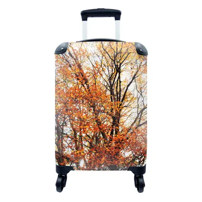Produktbild von MuchoWow® Koffer Handgepäck Trolley Rollkoffer Kleine Reisekoffer mit 4 Rollen - Wald - Herbst - Jahreszeiten - Cabin Size < 55x40x23 cm & 55x40x20 cm - Fotokoffer - Kabinenkoffer - Boardgepäck - Reise-Box - Reisekoffer - Reisegepäck - Koffer mit Bild - Trolley für Kinder