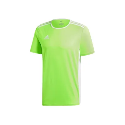Immagine prodotto di Koszulka adidas Entrada 18 JSY CE9758 128 cm