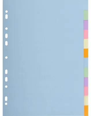 Produktbild von Exacompta 25x Register RC Kart.170g, 12 neutrale Taben, A4,, Pastell, 1612E