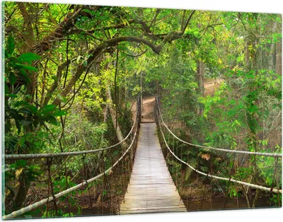 Produktbild von Bilder auf glas - Fußgängerbrücke Wald Abenteuer - 120x80cm - Glasbilder - Wandbilder - Kunstdruck - zum Aufhängen bereit - Wanddekoration aus Glas - Glas Bilder - Wandbild auf Glas - GAA120x80-2678