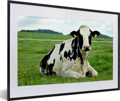 Produktbild von MuchoWow® MuchoWow® Gerahmtes Poster Kuh - Gras - Tiere - Berg 60x40 cm - Poster mit zchwarzem Bilderrahmen - Schlafzimmer - Plakat in Rahmen - Drucken