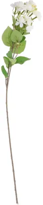 Productafbeelding van Kunstjasmijn – Decoratieve kunstbloem – Decoratie voor de woonkamer – Wit. Afmetingen: 58,00 x 8,00 x 1,00 cm