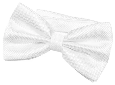 Produktbild von DonDon Herren Fliege 12 x 6 cm gebunden mit Hakenverschluss und größenverstellbar für besondere Anlässe weiß