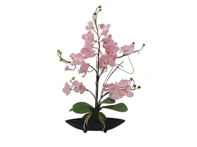 Obrázek produktu pro Europalms Orchideen-Arrangement EVA künstlich lila 82530339