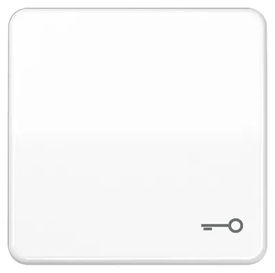 Image de Jung Bascule symbole PORTE aws pour bouton-poussoir CD 590 T WW