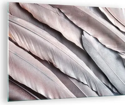 Produktbild von Bilder auf glas - Einteilig - Federn Flügel Feder - 70x50cm - Glasbilder - Wandbilder - Bilder - zum Aufhängen bereit - Wanddekoration aus Glas - Glas Bilder - Wandbild auf Glas - GAA70x50-5114