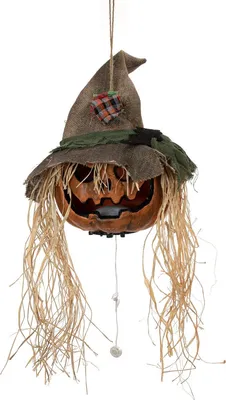 Immagine prodotto di EUROPALMS Testa di zucca maledetta di Halloween, 70 cm