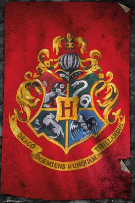 Image de Harry Potter - Drapeau de Poudlard - Cinéma - Poster - Taille 61x91,5 cm